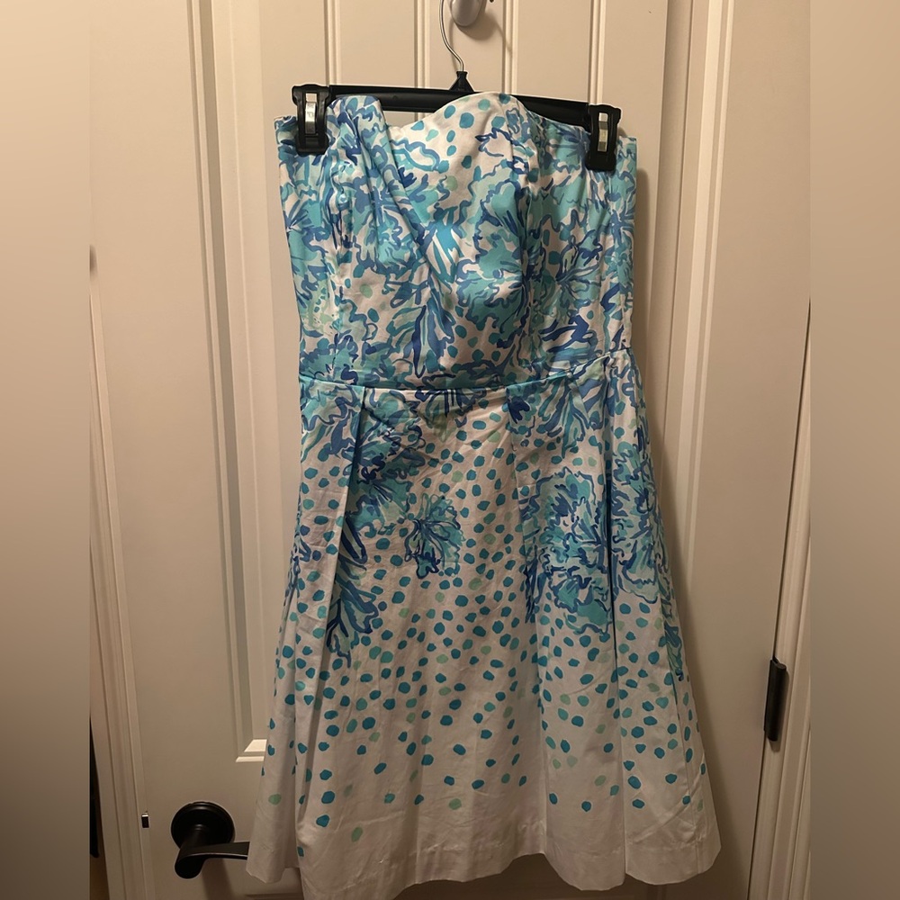 Lilly Pulitzer Blue and White Floral Dress
